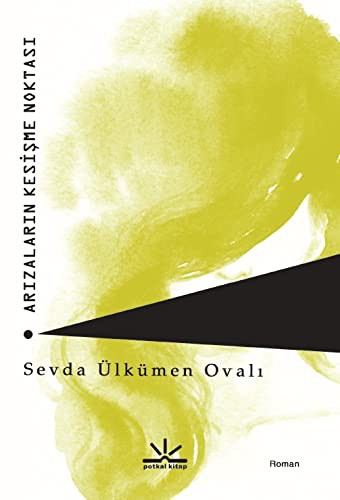 Arızaların Kesişme Noktası kitap kapağı
