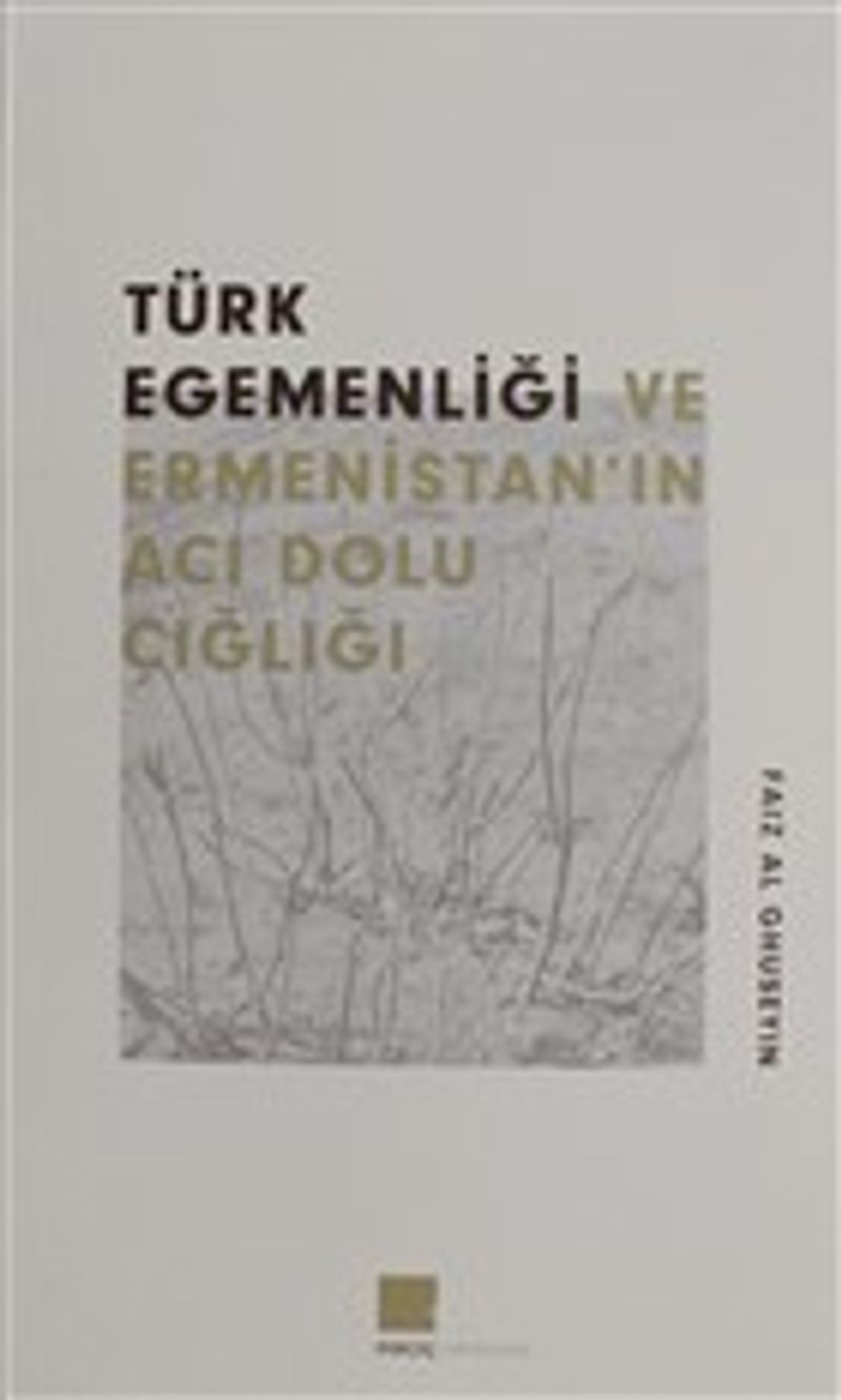 Türk Egemenlği ve Ermenistan'ın Acı Dolu Çığlığı kitap kapağı