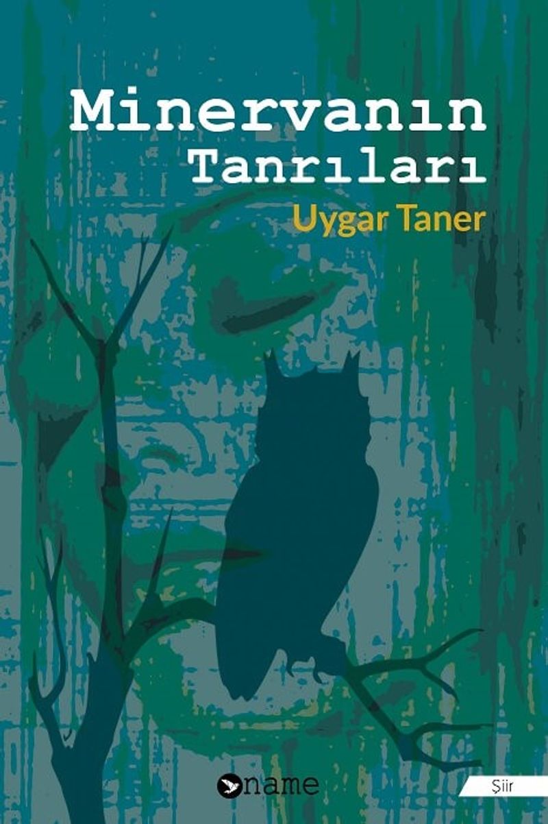 Minervanın Tanrıları kitap kapağı