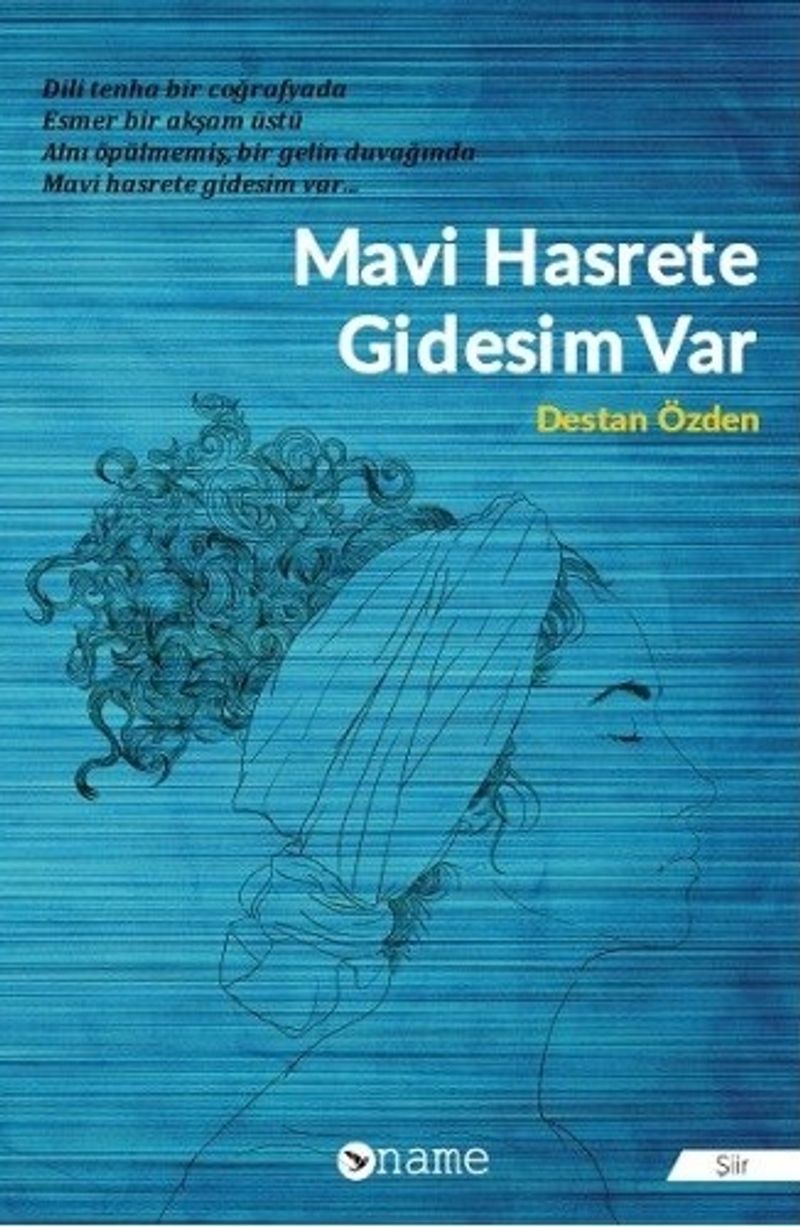Mavi Hasrete Gidesim Var kitap kapağı