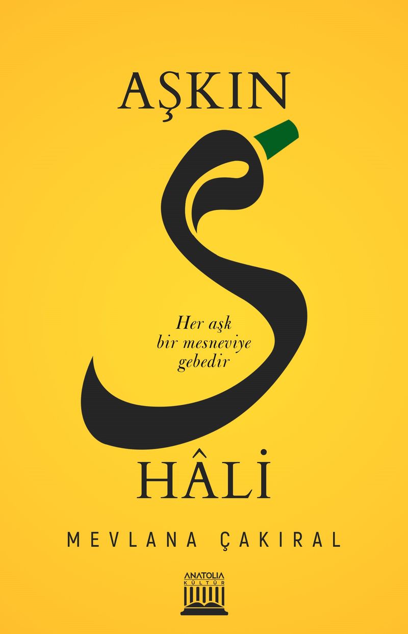 Aşkın S Hali kitap kapağı