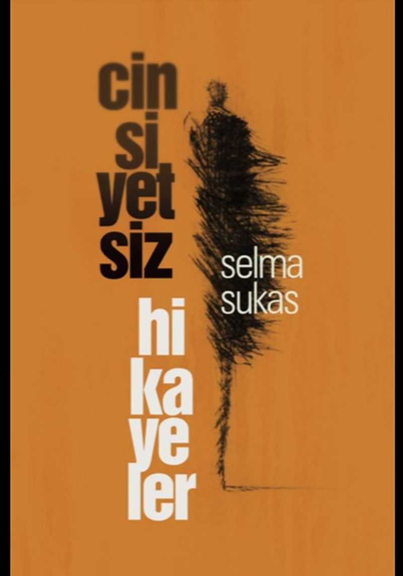 Cinsiyetsiz Hikayeler kitap kapağı