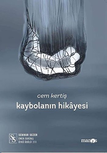 Kaybolanın Hikayesi kitap kapağı