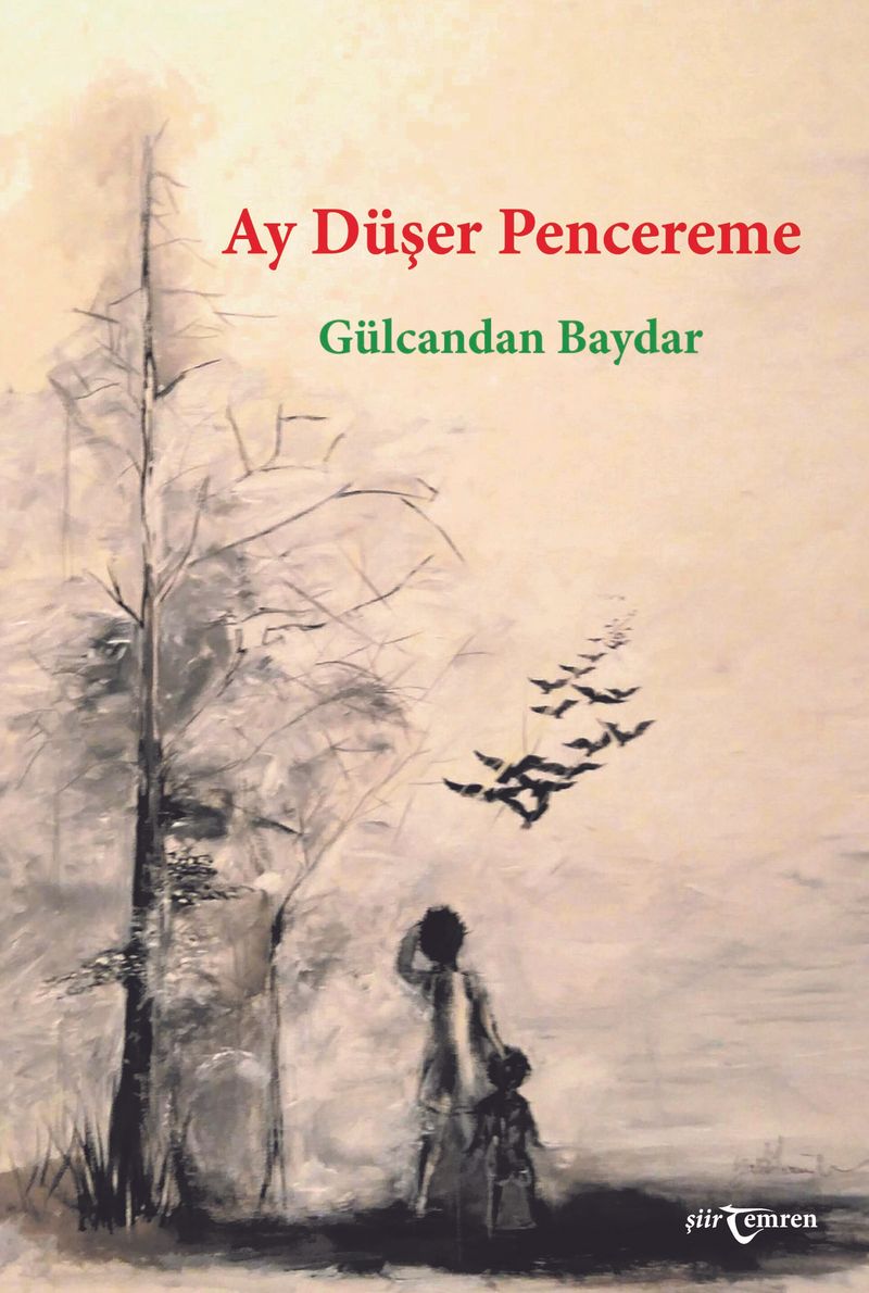 Ay Düşer Pencereme kitap kapağı