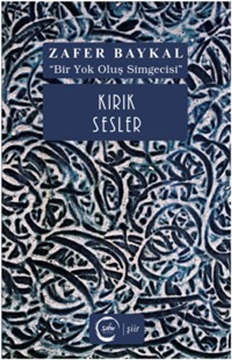 Kırık Sesler kitap kapağı