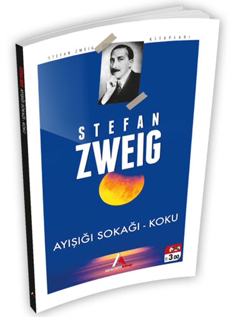 Ayışığı Sokağı kitap kapağı