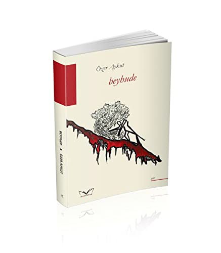Beyhude kitap kapağı