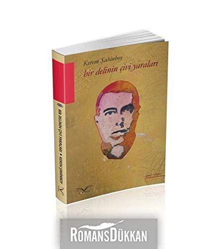 Bir Delinin Çivi Yaraları kitap kapağı
