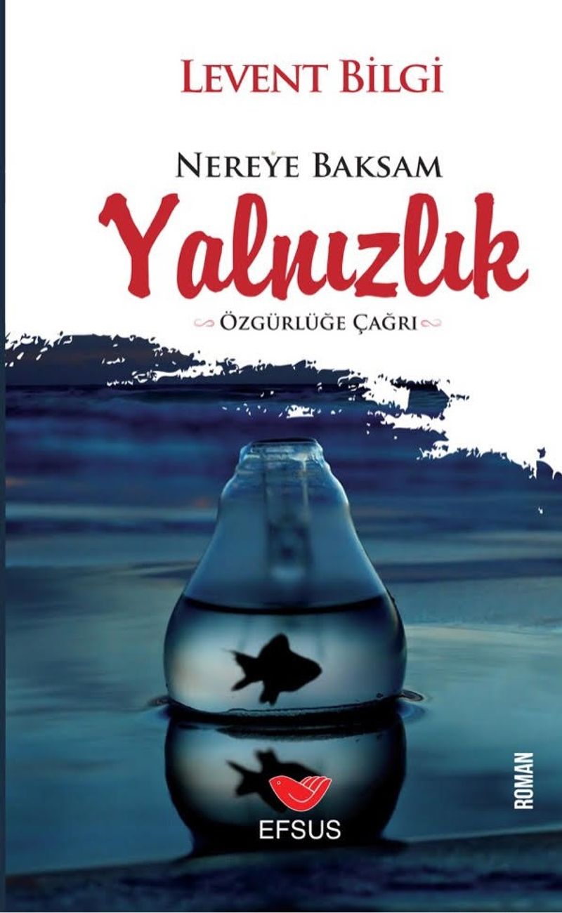 Nereye Baksam Yalnızlık kitap kapağı