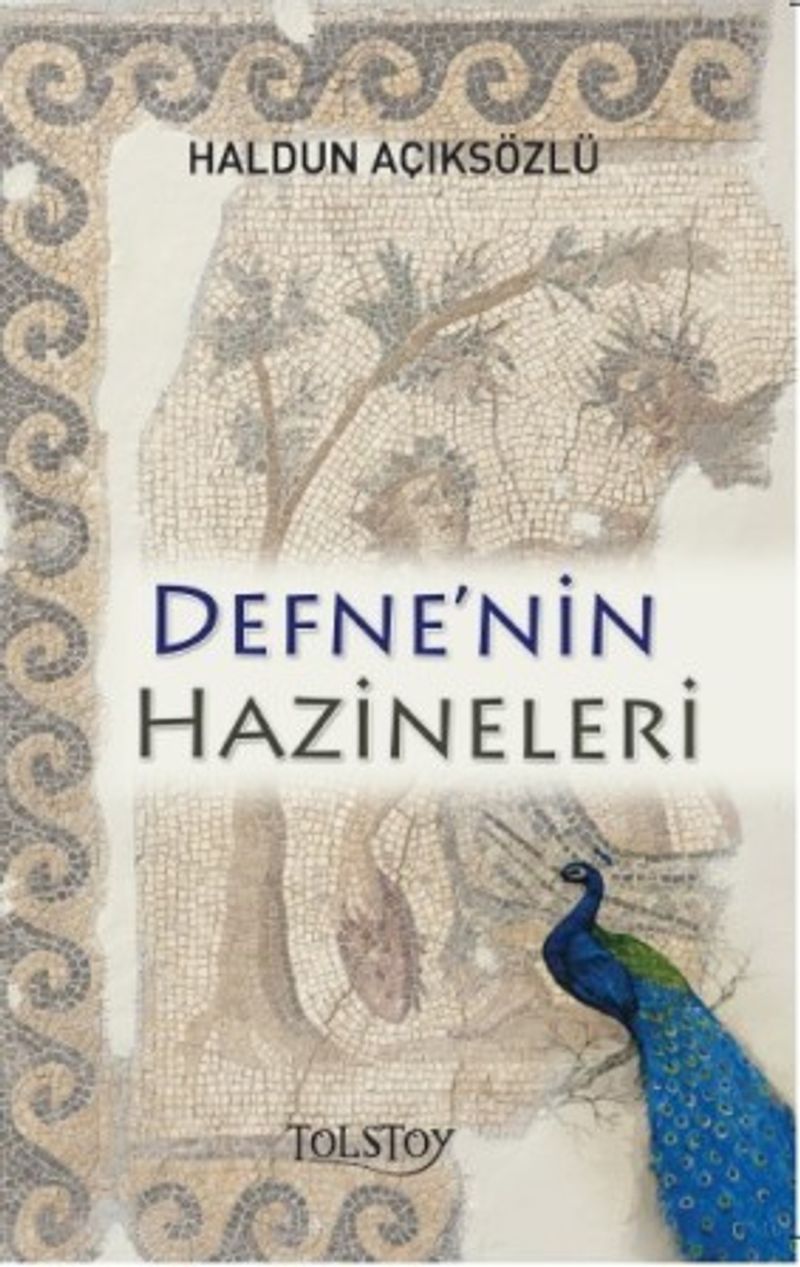 Defne'nin Hazineleri kitap kapağı