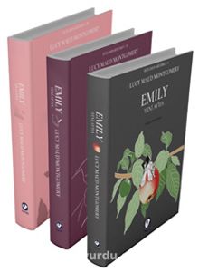 Rüzgarın Kızı Emily Serisi (3 Kitap) kitap kapağı