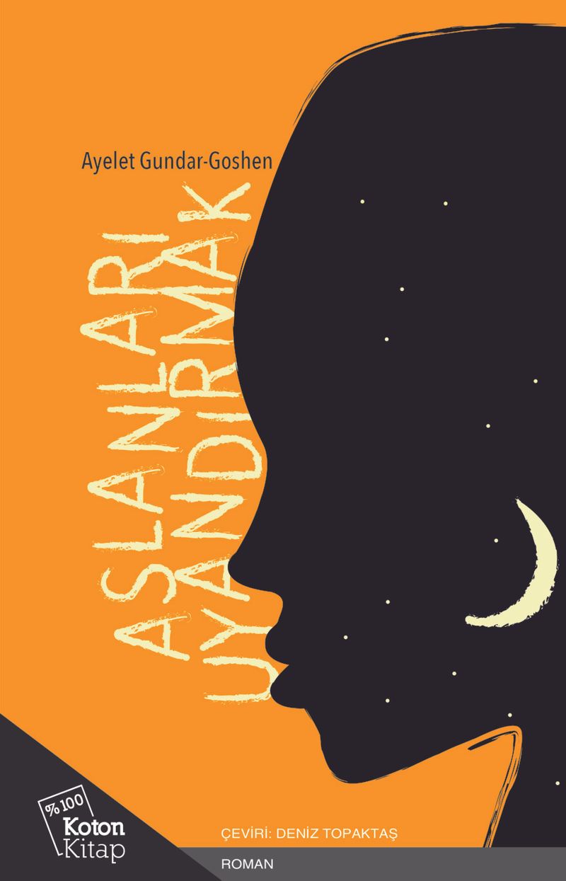 Aslanları Uyandırmak kitap kapağı