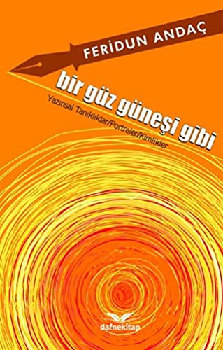 Bir Güz Güneşi Gibi kitap kapağı