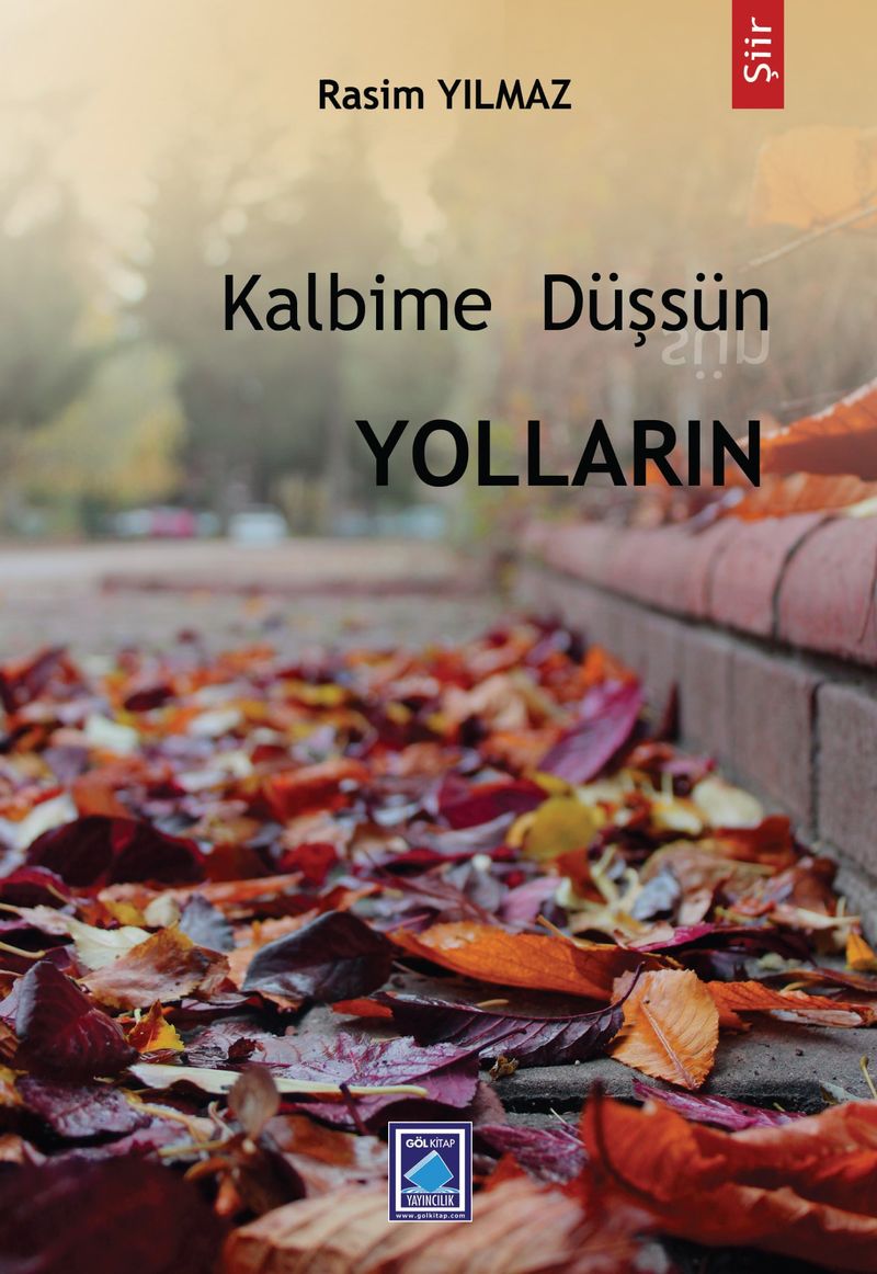 Kalbime Düşsün Yolların kitap kapağı