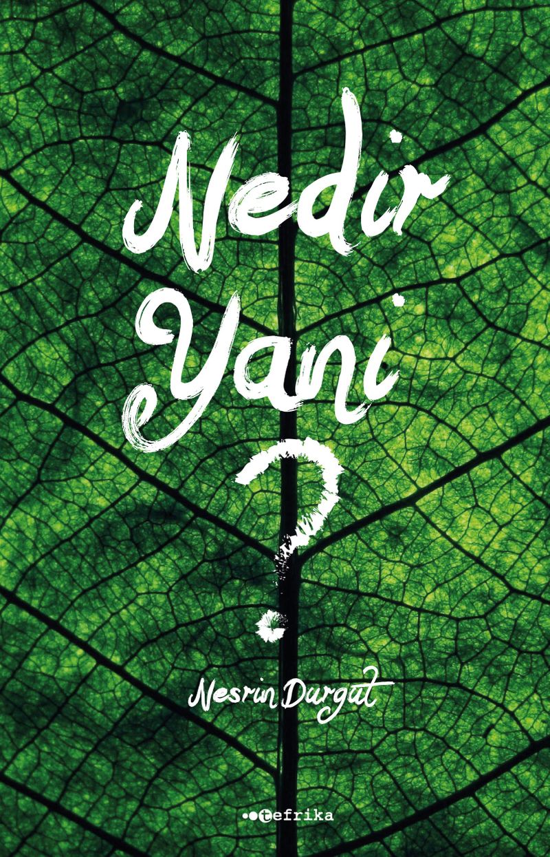 Nedir Yani ? kitap kapağı