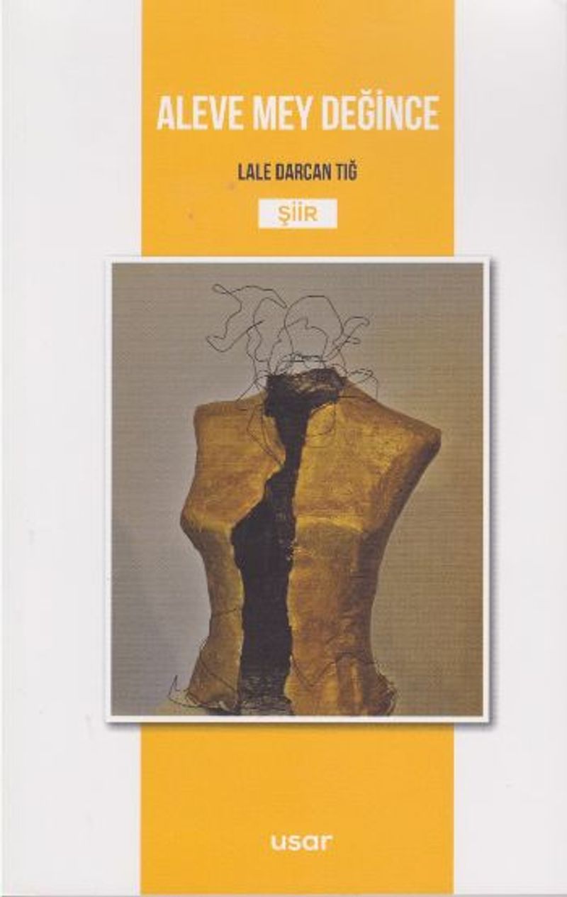 Aleve Mey Değince kitap kapağı