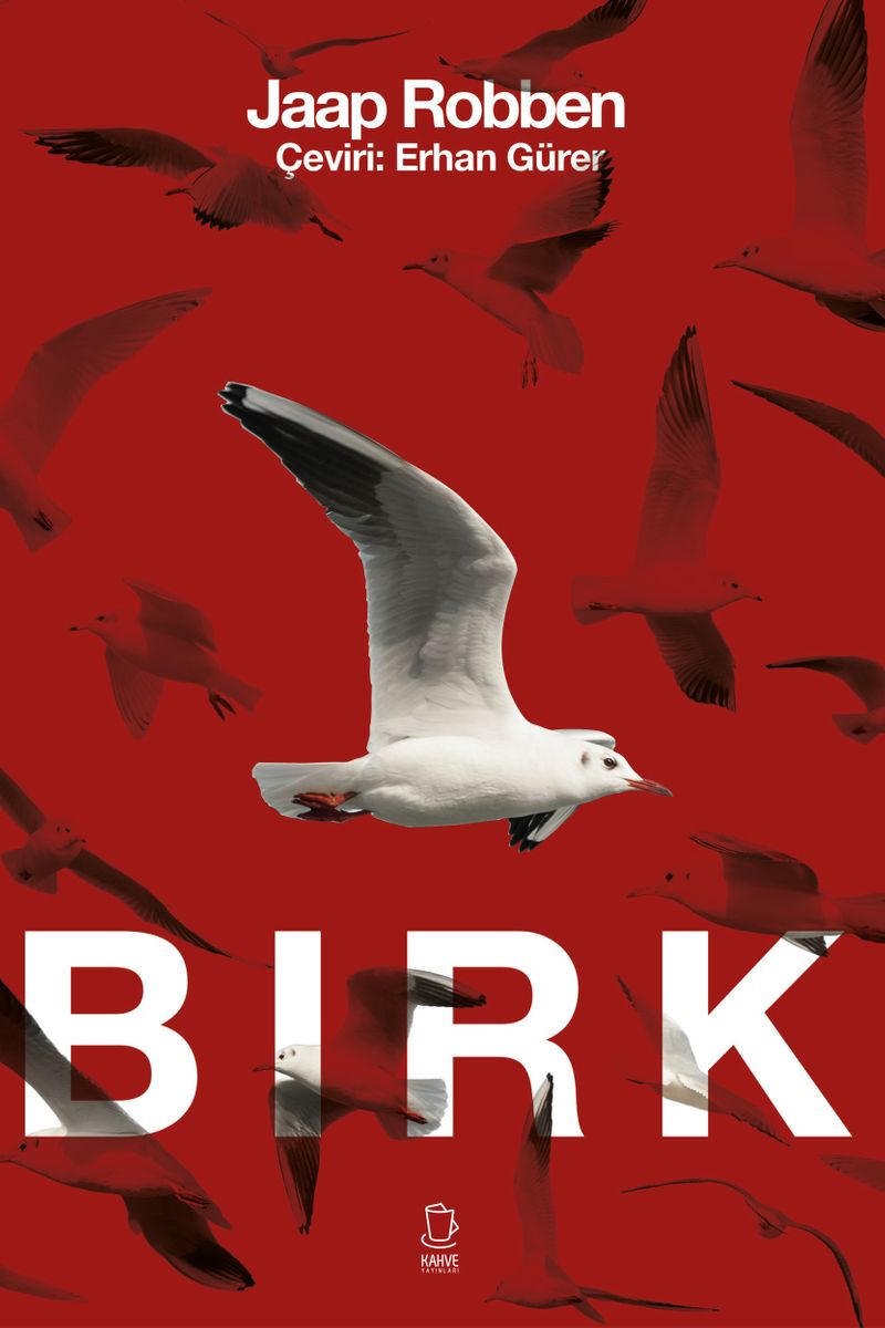 Birk kitap kapağı