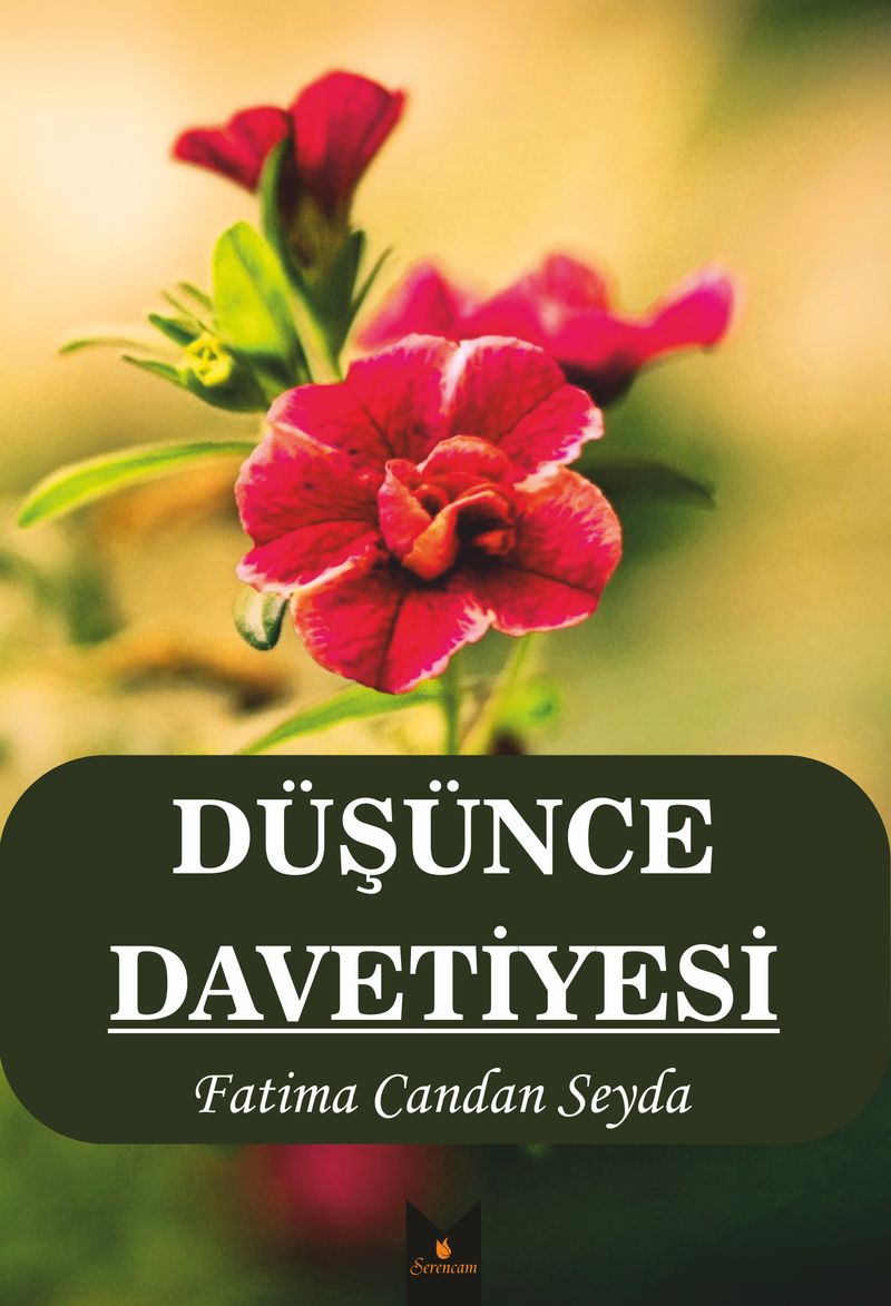 Düşünce Davetiyesi kitap kapağı