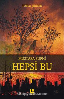 Hepsi Bu kitap kapağı