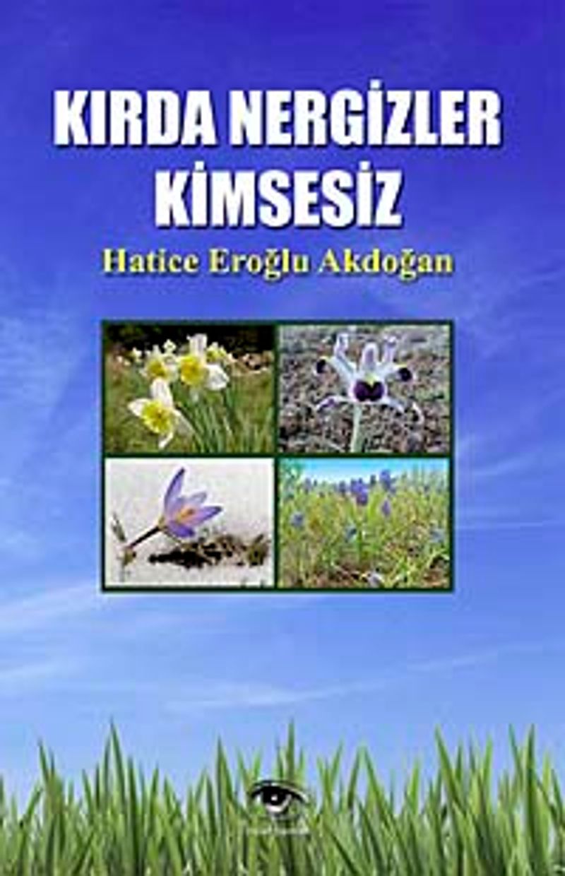 Kırda Nergizler Kimsesiz kitap kapağı