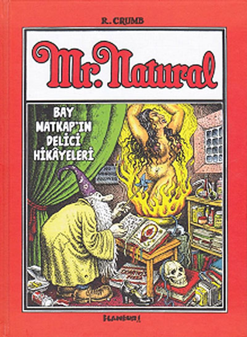 Mr. Natural - Bay Matkap'ın Delici Hikayeleri kitap kapağı