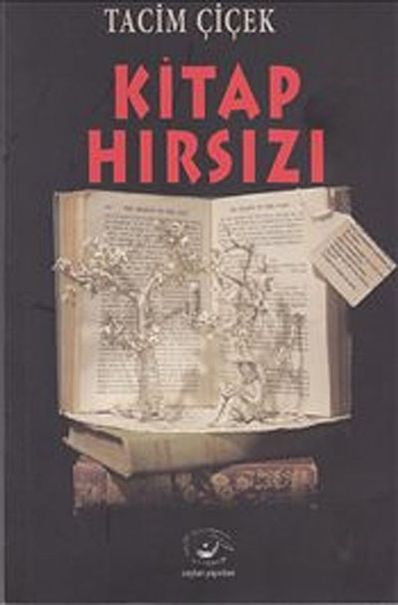 Kitap Hırsızı kitap kapağı