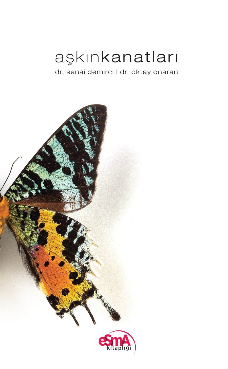 Aşkın Kanatları kitap kapağı