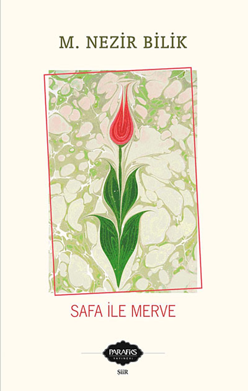 Safa ile Merve kitap kapağı