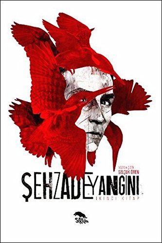 Şehzade Yangını 2. Kitap kitap kapağı
