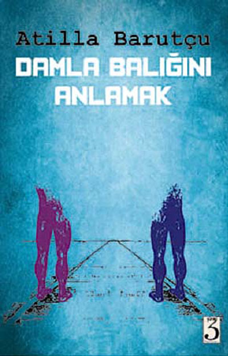 Damla Balığını Anlamak kitap kapağı