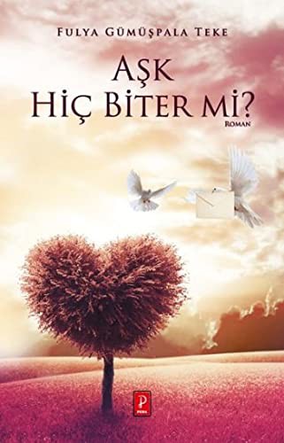 Aşk Hiç Biter mi? kitap kapağı