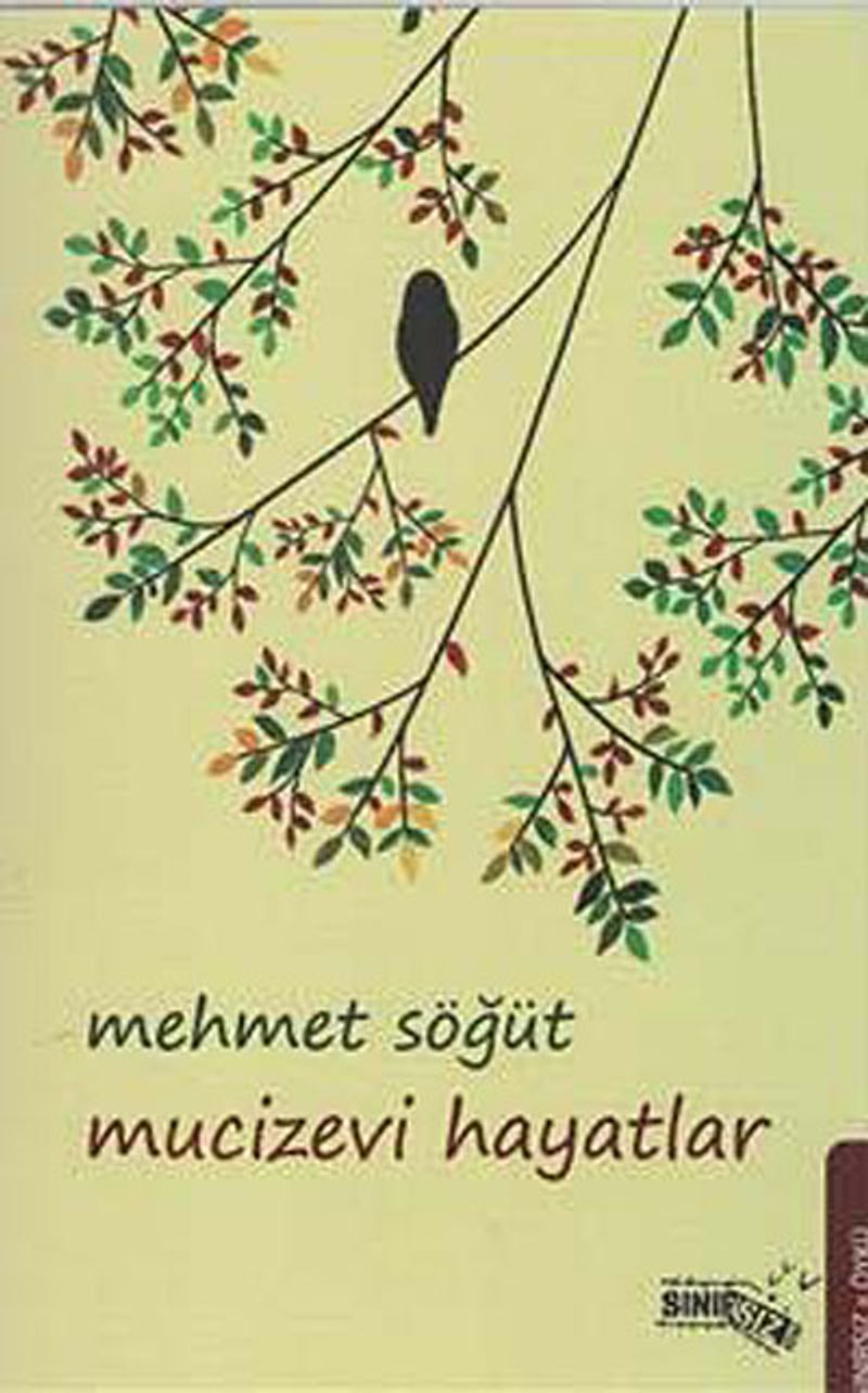 Mucizevi Hayatlar kitap kapağı