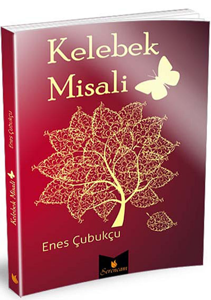 Kelebek Misali kitap kapağı