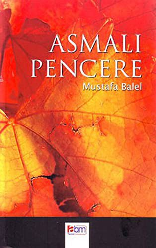 Asmalı Pencere kitap kapağı