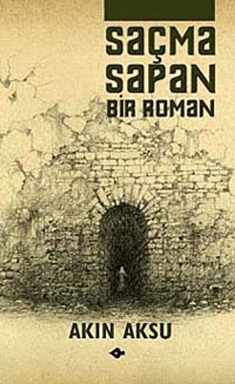 Saçma Sapan Bir Roman kitap kapağı