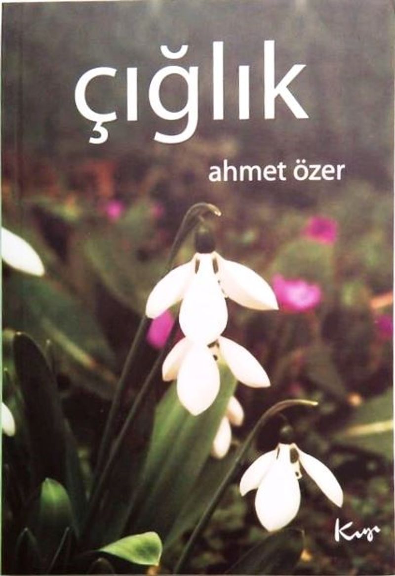 Çığlık kitap kapağı