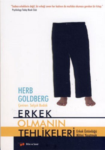 Erkek Olmanın Tehlikeleri 8-B-13 kitap kapağı