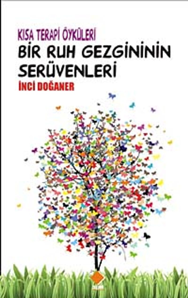 Bir Ruh Gezginin Serüvenleri cep boy kitap kapağı