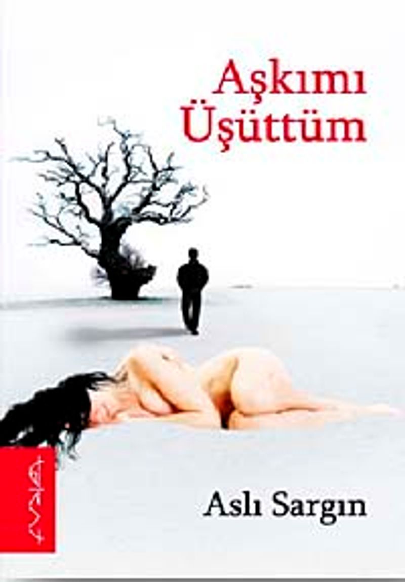 Aşkımı Üşüttüm kitap kapağı