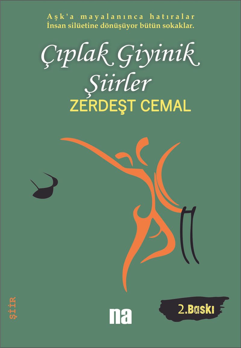 Çıplak Giyinik Şiirler kitap kapağı