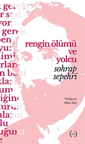 Rengin Ölümü ve Yolcu kitap kapağı