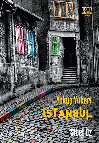 Yokuş Yukarı İstanbul kitap kapağı