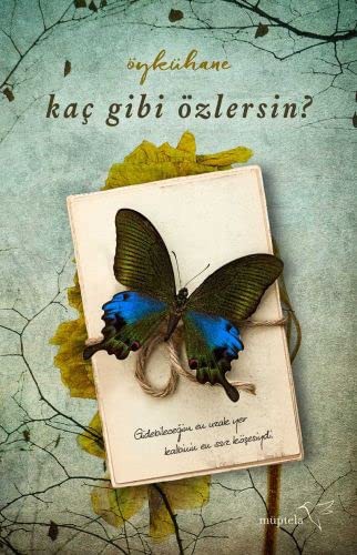 Kaç Gibi Özlersin? kitap kapağı