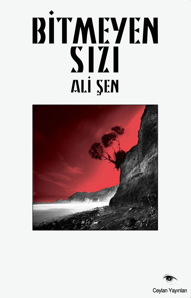 Bitmeyen Sızı kitap kapağı