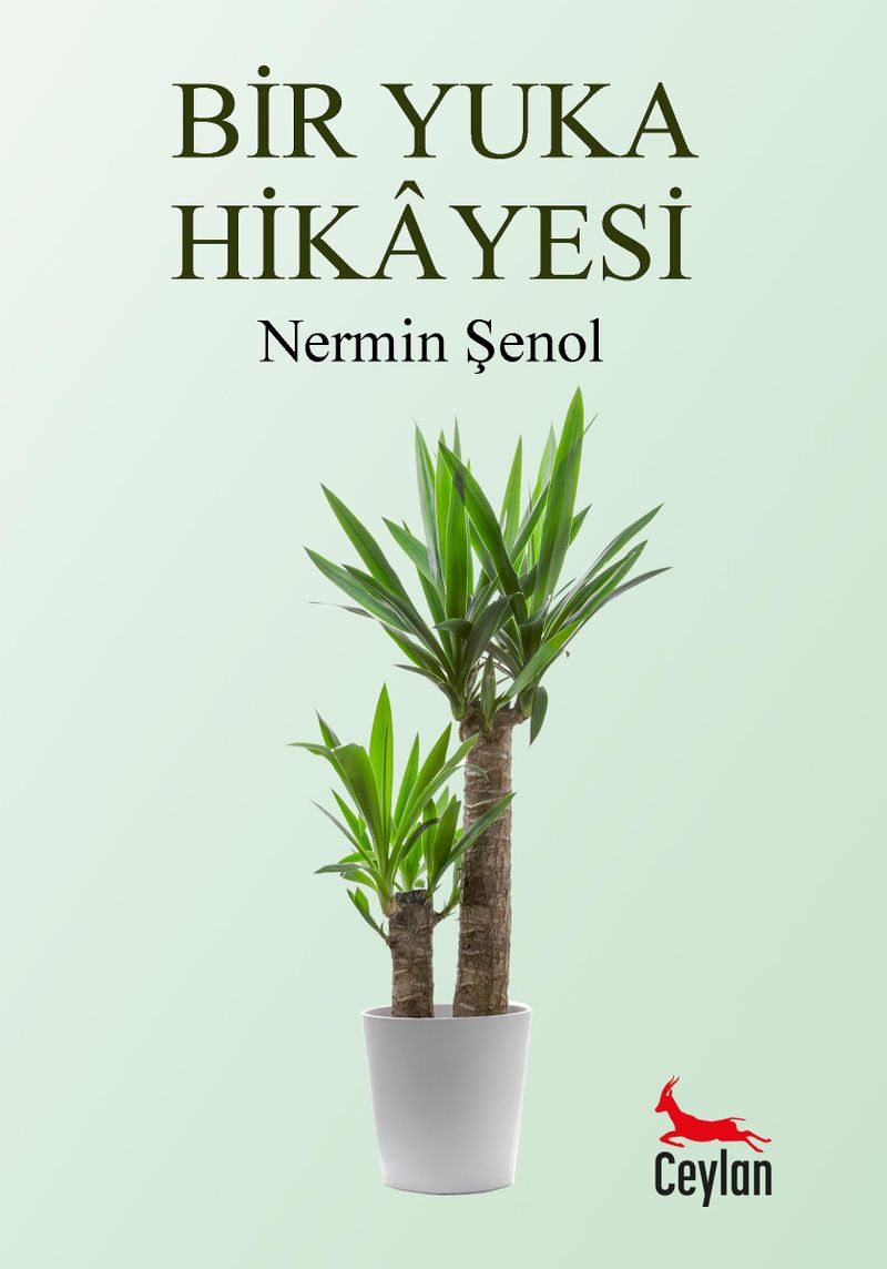 Bir Yuka Hikayesi kitap kapağı