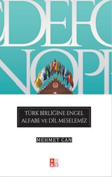 Türk Birliğine Engel Alfabe ve Dil Meselemiz kitap kapağı