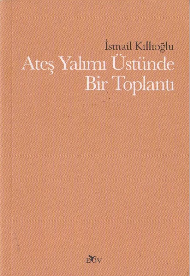Ateş Yalımı Üstünde Bir Toplantı kitap kapağı