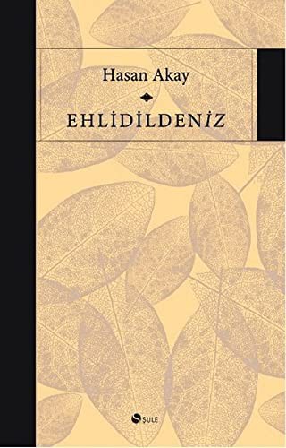 Ehlidildeniz kitap kapağı