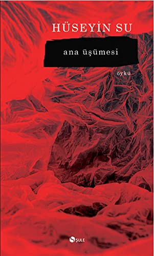 Ana Üşümesi kitap kapağı