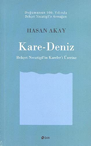 Kare-Deniz kitap kapağı